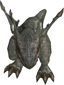 Hatchling of Twilight