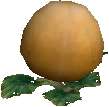 High Quality Large Squash