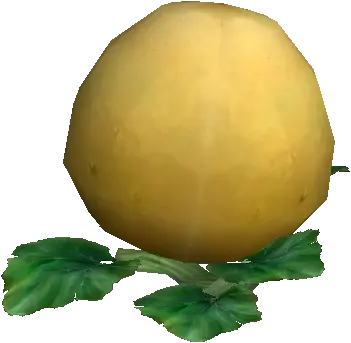 King Squash