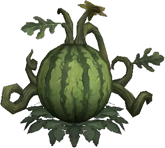 Young Honey Wintermelon