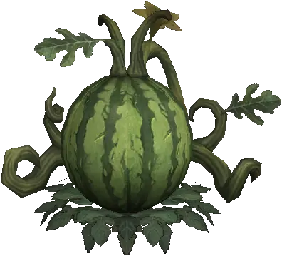 Rain Honey Wintermelon