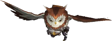 Owl Monk