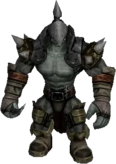 Witch's Offering Disciple