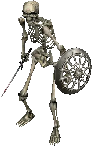 Skeleton Raider