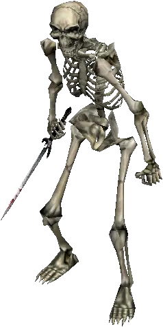 Slave Skeleton