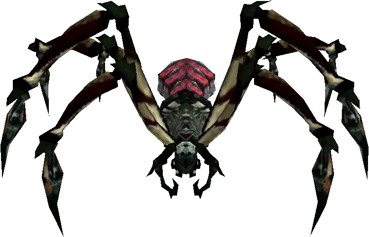 Trisalim Tarantula