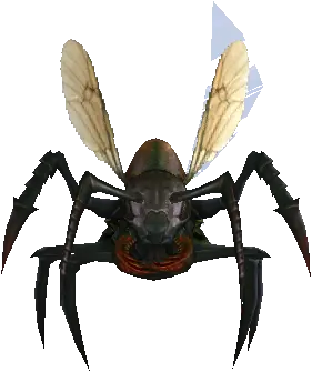 Male Ant