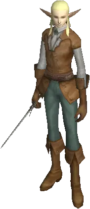 Adventurer Guildsman