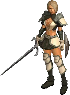 Adventurer Guildsman