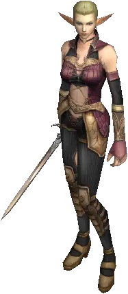 Adventurer Guildsman