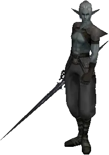 Adventurer Guildsman