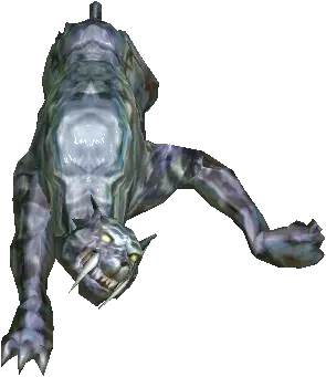 Dead Leopard's Carcass