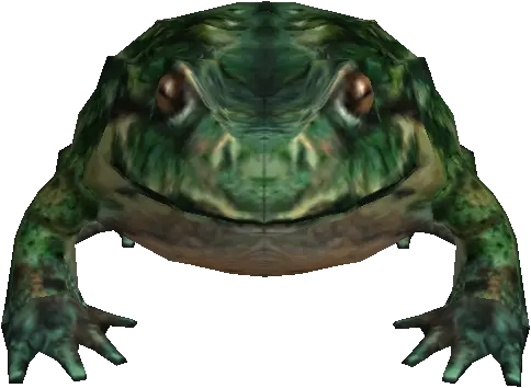 Frog