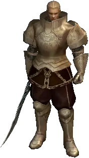 Elite Mercenary Guild Member