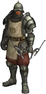 Elite Mercenary Guild Member