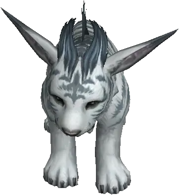 Frenzied Baby Cougar